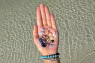 Tierra Verde Shell Key Ferry thumbnail 4