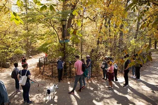Brooklyn Prospect Park Walking Tour