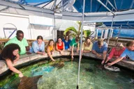 Key West Aquarium Tour thumbnail 6