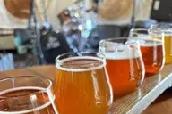 San Diego Beer Tasting Tour thumbnail 3