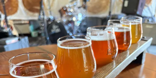 San Diego Beer Tasting Tour - Image 3