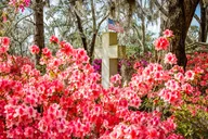 Savannah Cemetery and Historic Site Tour thumbnail 4