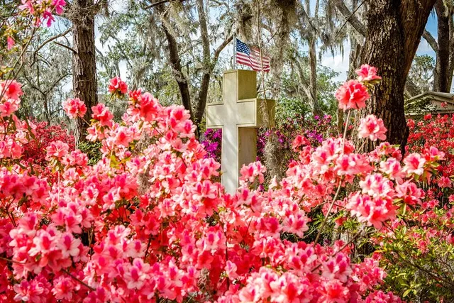 Savannah Cemetery and Historic Site Tour - Image 4