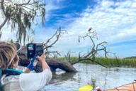 Hilton Head Private Outback Kayak Tour thumbnail 4