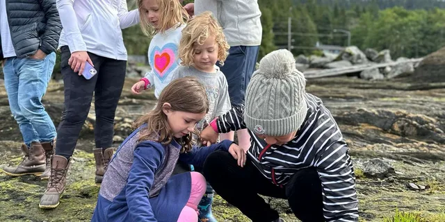 Ketchikan Private Tour: Rainforest and Wildlife - Image 2