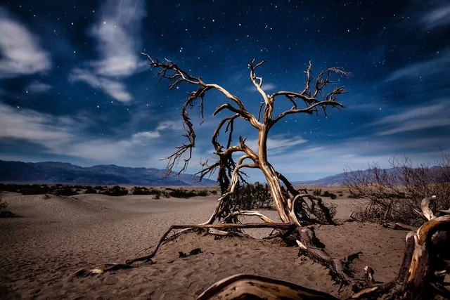 Las Vegas Death Valley National Park Private Tour - Image 5