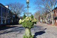 Nantucket Downtown Walking Tour thumbnail 2