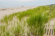 New York City Hamptons and Sag Harbor Day Trip thumbnail 2
