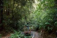 Fort Bragg Pudding Creek Train Ride thumbnail 4