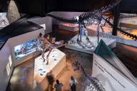 Houston Museum of Natural Science Admission thumbnail 3