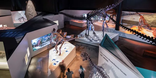 Houston Museum of Natural Science Admission - Image 3