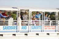 Anna Maria Island Dolphin Sightseeing Adventure thumbnail 3