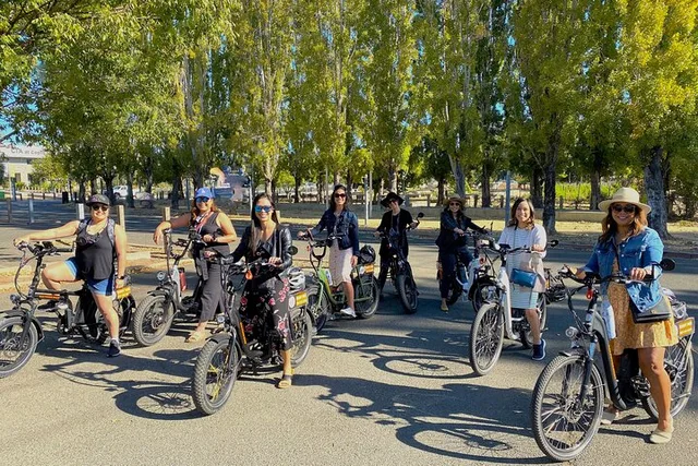 Napa E-Bike Rental Full Day - Image 3