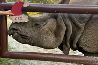 Sanford Zoo and Botanical Gardens Admission thumbnail 3
