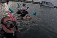 Crystal River Manatee Swim Tour thumbnail 6