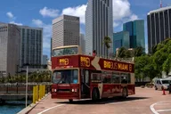 Miami Bus Tour and Celebrity Homes Cruise thumbnail 1