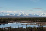 Denali Park Tour from Fairbanks thumbnail 1