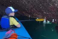 Deception Pass Kayak Tour 90 Min thumbnail 2