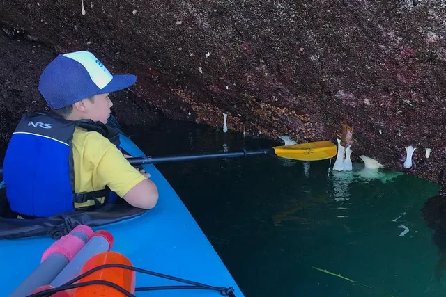 Deception Pass Kayak Tour 90 Min - Image 2