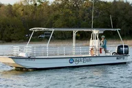 Hilton Head Lowcountry Day Tour thumbnail 6