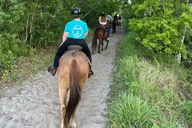 Lake Louisa Horseback Ride thumbnail 5