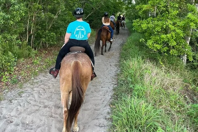 Lake Louisa Horseback Ride - Image 5