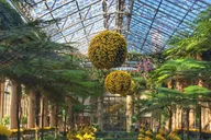 Philadelphia Brandywine Valley and Longwood Gardens Tour 4 hr thumbnail 1