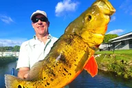 Pompano Beach Fishing Tour thumbnail 1