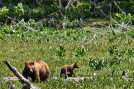 Sequoia National Park Guided Hiking Tour thumbnail 5