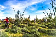 Arizona Desert E-Bike Adventure thumbnail 5