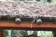 San Francisco Muir Woods and Marin Headlands Private Tour thumbnail 4