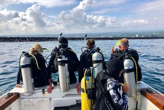 Hilo Tropical Reef Boat Dive