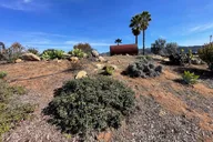 San Diego Wine Tour Private 5 hr thumbnail 3