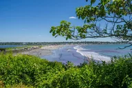 Newport Cliff Walk Self-Guided Audio Tour thumbnail 3