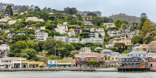 San Francisco Muir Woods and Sausalito Tour - Image 6