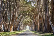 Point Reyes National Seashore Self-Guided Audio Tour thumbnail 4