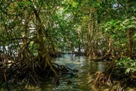 Key West Eco Tour Wildlife Refuge Adventure 3 hr thumbnail 6