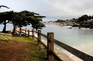 San Francisco Monterey & Yosemite Tour 2-Day
