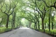 New York Central Park Walking Tour thumbnail 2