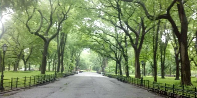 New York Central Park Walking Tour - Image 2