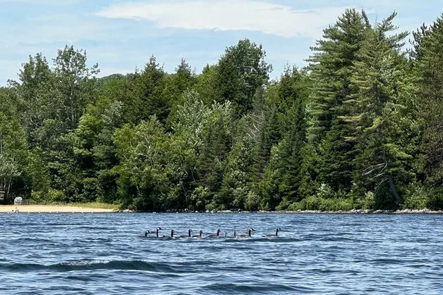 Lake Tarleton Self-Guided Paddle - Image 6