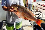 Fort Lauderdale Fishing Trip thumbnail 5