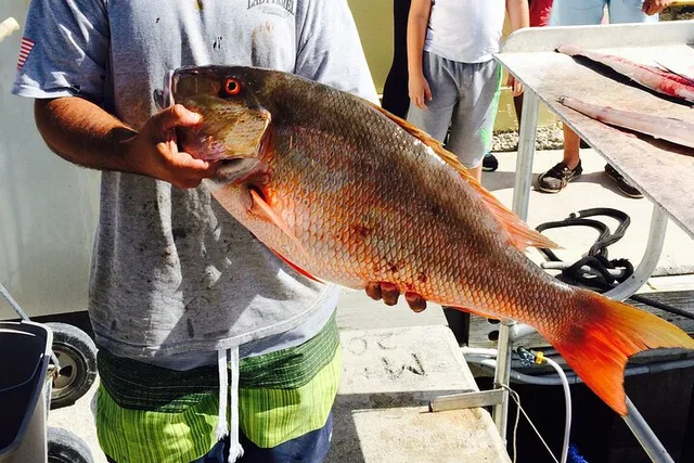 Fort Lauderdale Fishing Trip - Image 5