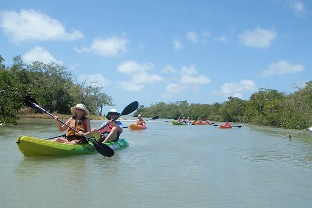 Fort Myers Kayak or SUP Rental 3hr - Image 6