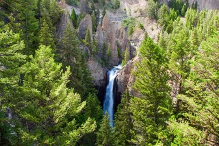 West Yellowstone Private Tour and Hike