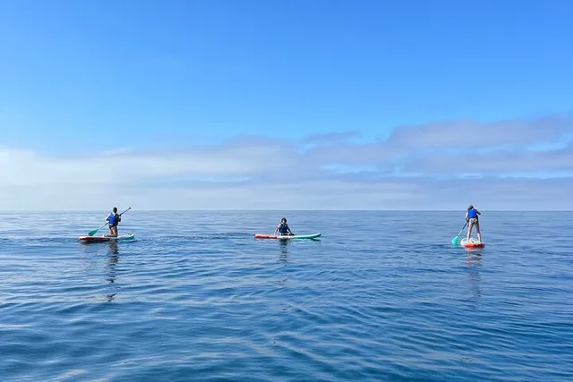 Laguna Beach Stand Up Paddle Activity 90 min - Image 4