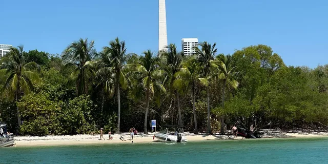 Miami Snorkeling Tour from Miami Beach Marina - Image 2