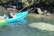 Crystal River Kayak with Manatee Viewing at Sunset thumbnail 3