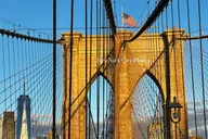 New York City Sightseeing Tour Full-Day thumbnail 4