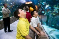New Orleans Audubon Aquarium and Insectarium Ticket thumbnail 1